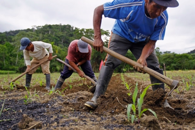 sustainable earth eating program